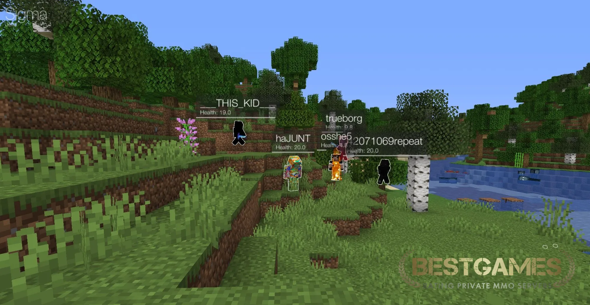 Absolute Vanilla Anarchy Survival | bestgames.to